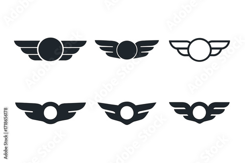 Airline Logo Variations. Airlines. Set Logo of Airlines: Pilot wings badge. 6 harmonious logo variations of the same emblematic