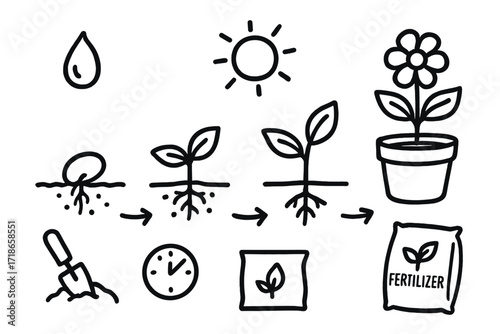 Plant Growth Doodle. Plant growth. Hand-drawn doodle illustration plant growth seed, sprout, roots, stem, leaves, flower, pot, water droplet, sun, shovel,