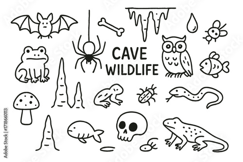 Cave Wildlife Doodle. Cave wildlife. Hand-drawn doodle illustration cave wildlife bat, spider, snake, owl, fish, insect, lizard, bones, water