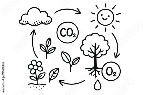 Carbon Cycle Doodle. Carbon dioxide and oxygen cycle. Hand-drawn doodle illustration carbon dioxide and oxygen cycle cloud, CO2