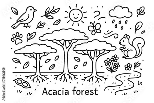 Acacia Ecosystem Doodle. Hand-drawn doodle illustration Acacia forest ecosystem multiple trees, bird icon, sun, soil layers, root
