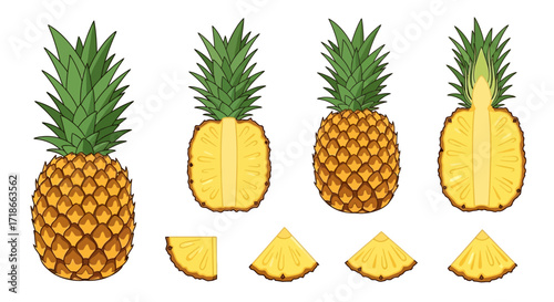 Pineapple Fruit Illustration Set, Whole and Sliced Pineapple, Sweet Tropical Fruit