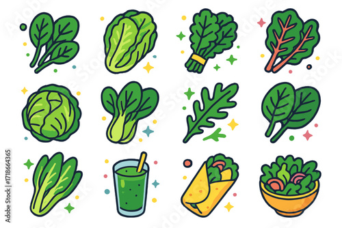 Leafy Greens Icons. Colorful isometric vector icons set of leafy greens: spinach leaves, romaine lettuce, kale bunch, swiss chard, cabbage head, bok choy,