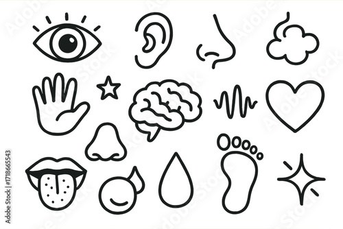 Human Senses Doodle. Hand-drawn doodle illustration Human senses eye, ear, nose, mouth, tongue, hand, brain, heart, sound wave, smell cloud, taste droplet,