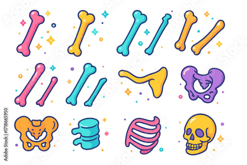 Colorful Bone Icons Grid. Colorful isometric vector icons set of bones in the human body: femur, tibia, fibula, humerus, radius, ulna, clavicle, scapula,