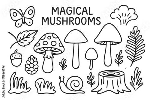 Magical Mushroom Doodles. Hand-drawn doodle illustration Magical mushrooms, mushroom, toadstool, spore, cap, stem, gills, forest leaf, acorn, pine cone, snail,