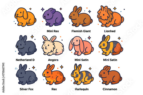 Vibrant Rabbit Icon Set. Colorful isometric vector icons set of rabbit breeds: holland lop, mini rex, flemish giant, lionhead, netherland dwarf, angora,