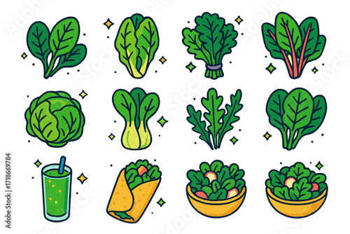 Leafy Greens Icons. Colorful isometric vector icons set of leafy greens: spinach leaves, romaine lettuce, kale bunch, swiss chard, cabbage head, bok choy,