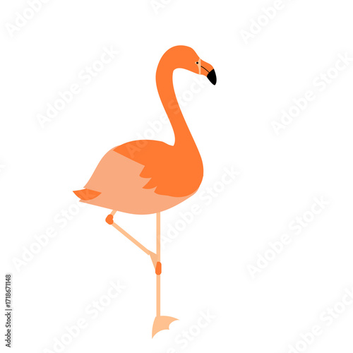 可愛いフラミンゴのイラスト
