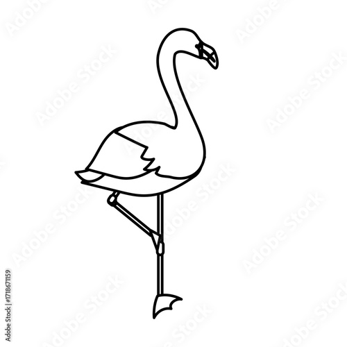 かわいいフラミンゴの線画イラスト
