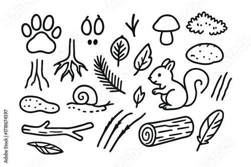 Forest Tracks Doodle. Hand-drawn doodle illustration [Animal tracks in the forest] [paw print, hoof print, bird footprint, mud patch, tree root, pine needle,