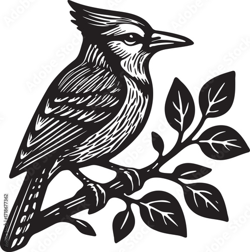 Blue Jay perched on leafy branch linocut engraving bird black and white silhouette detailed woodblock style art vector