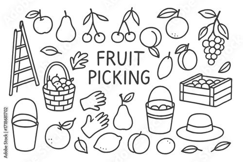 Fruit Picking Doodle. Fruit picking. Hand-drawn doodle illustration fruit picking apple, pear, cherry, grapes, plum, peach, orange, lemon, ladder, basket,