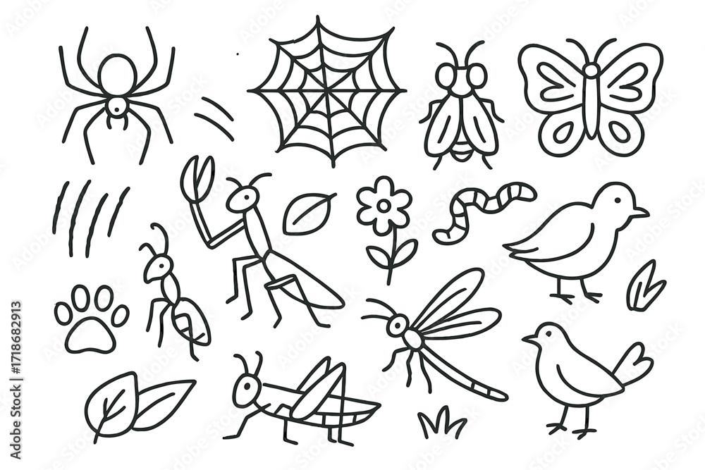 Fototapeta premium Insect Predators and Prey. Hand-drawn doodle illustration insect predators and prey spider, web, fly, butterfly, mantis, beetle, ant, dragonfly, grasshopper,