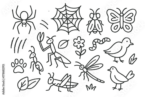 Insect Predators and Prey. Hand-drawn doodle illustration insect predators and prey spider, web, fly, butterfly, mantis, beetle, ant, dragonfly, grasshopper,