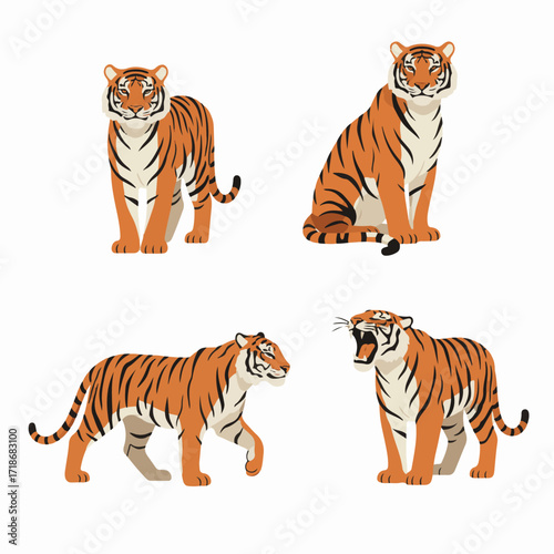 Vector Illustration of Tigers in Different Poses