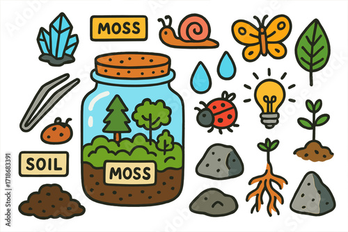 Colorful Terrarium Elements. Colorful Hand-drawn doodle Children illustration Moss Terrarium glass jar, moss, rock, tiny trees, labels, tweezers, soil, light,
