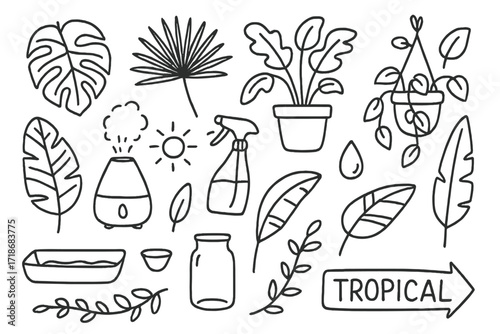 Tropical Plant Doodles. Hand-drawn doodle illustration [Tropical houseplants] monstera leaf, palm, philodendron, humidifier, mist spray, banana leaf, sunbeam,