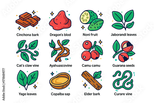 Colorful Rainforest Plant Icons. Colorful isometric vector icons set of medicinal rainforest plants: cinchona bark, dragon?s blood resin, noni fruit, jaborandi
