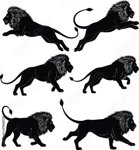 Black lion silhouette vector, dynamic animal movement, walking, running, leaping poses, majestic beast illustration, wild creature anatomy, graphic design elements