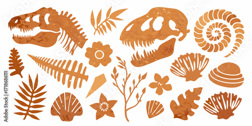Collection of orange dinosaur skeletons fossils shells ferns and flowers on a white background