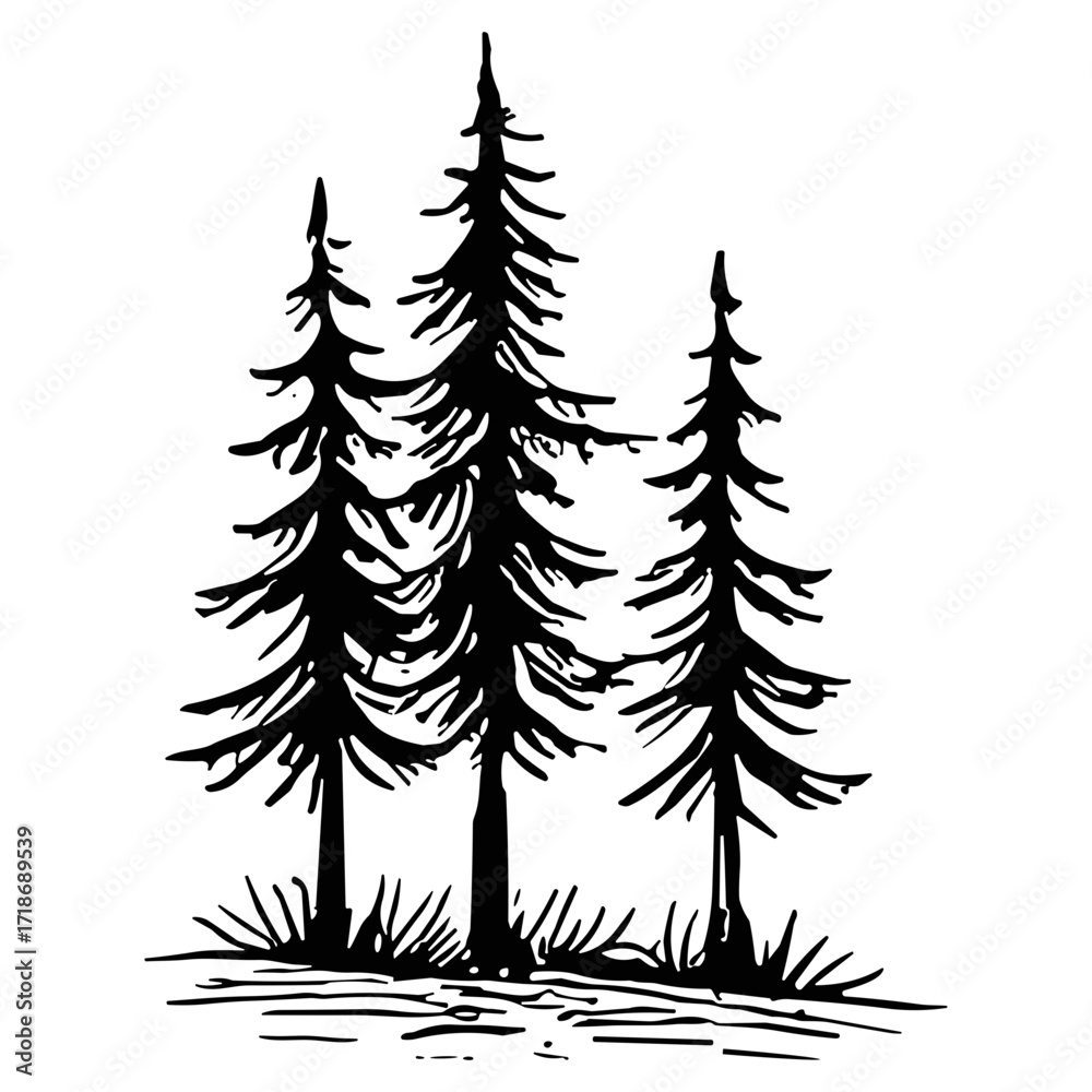 Obraz premium Pine Trees Illustration