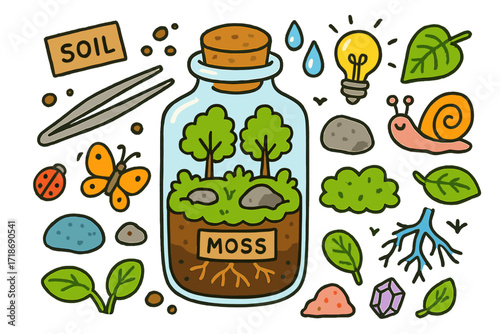 Colorful Terrarium Elements. Colorful Hand-drawn doodle Children illustration Moss Terrarium glass jar, moss, rock, tiny trees, labels, tweezers, soil, light,