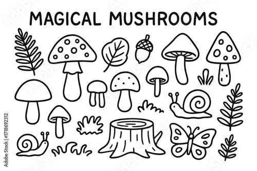 Magical Mushroom Doodles. Hand-drawn doodle illustration Magical mushrooms, mushroom, toadstool, spore, cap, stem, gills, forest leaf, acorn, pine cone, snail,