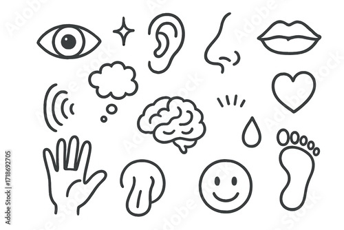 Human Senses Doodle. Hand-drawn doodle illustration Human senses eye, ear, nose, mouth, tongue, hand, brain, heart, sound wave, smell cloud, taste droplet,