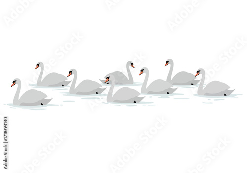 Eight gray swans float in a row on light blue water against a white background