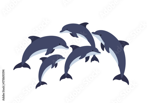 Five gray and white dolphins arranged in a group facing in various directions