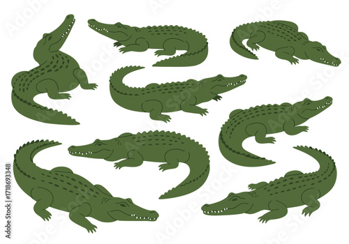 Group of cartoon green crocodiles in various poses on a white background