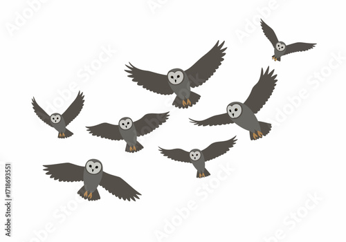 Seven gray owls are in midflight wings outstretched against a plain white backdrop