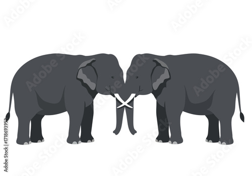 Two gray elephants touch tusks sidebyside against a white backdrop