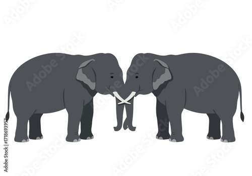 Two gray elephants face each other their trunks and tusks intertwined