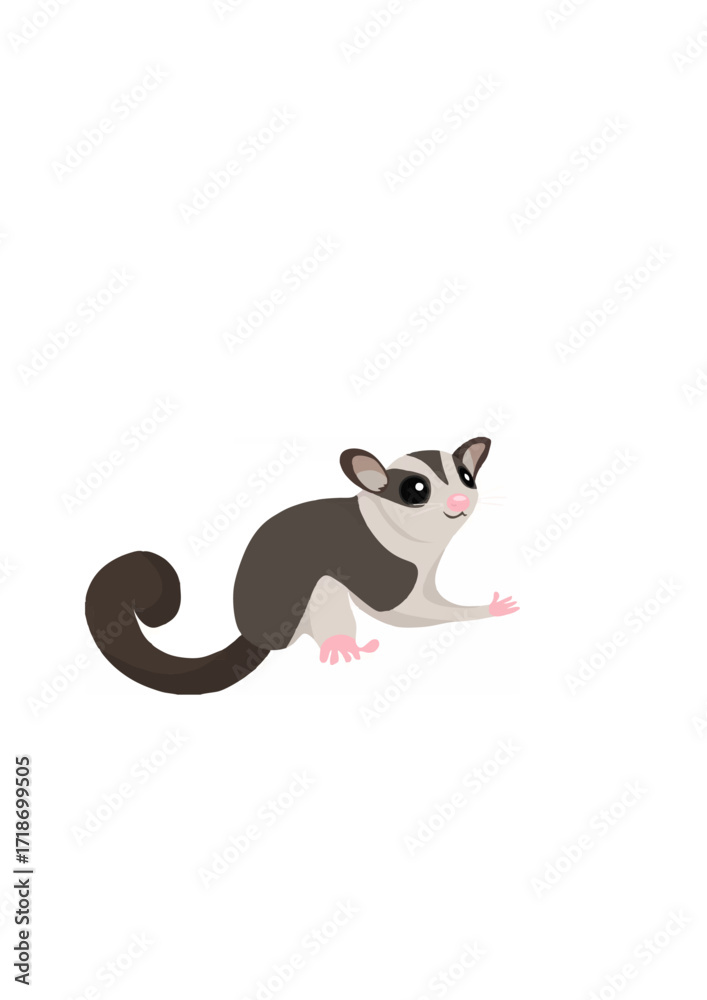 Obraz premium Cute Sugar Glider Vector.ai