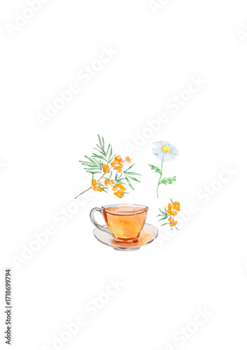 Sea Buckthorn & Honey Watercolor.ai