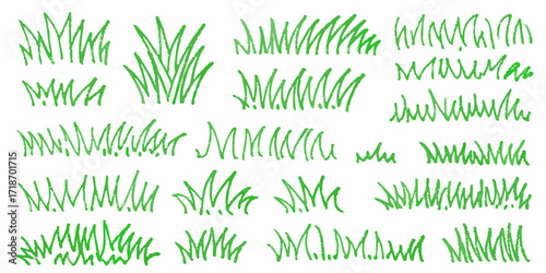 Collection of hand drawn green grass tufts and blades on white background