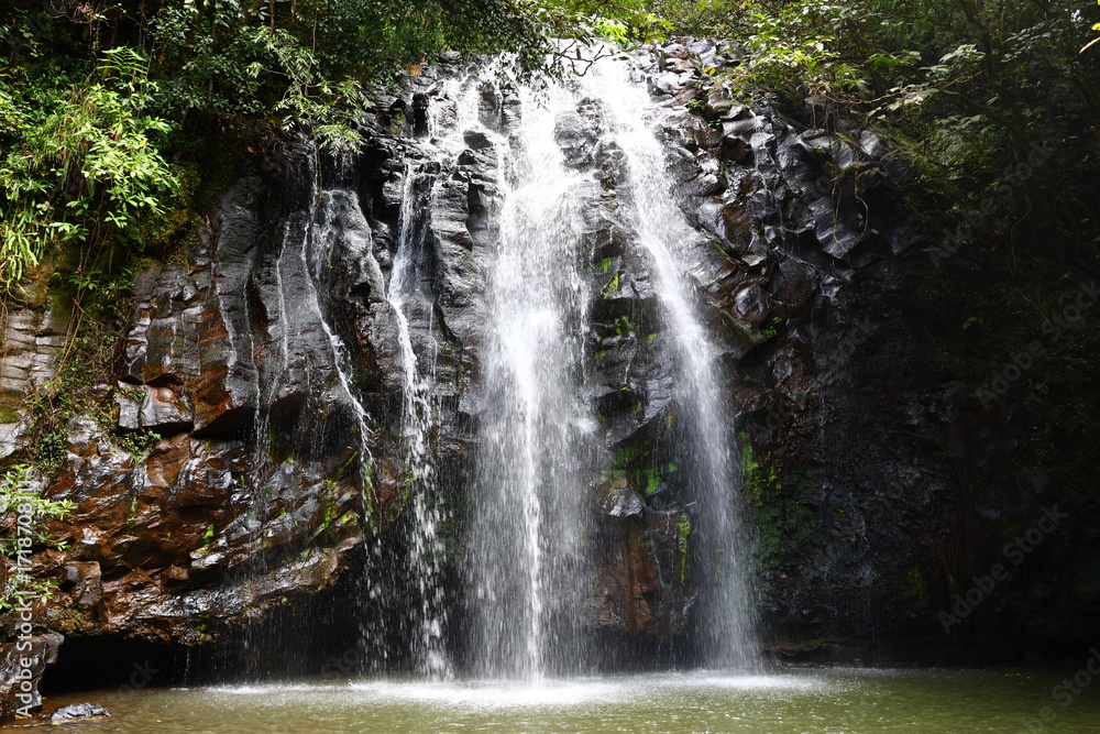 Obraz premium waterfall in the forest 2