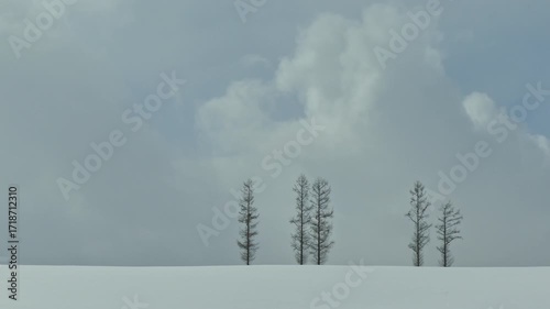 Falling snow in winter season around park with snow covered trees
