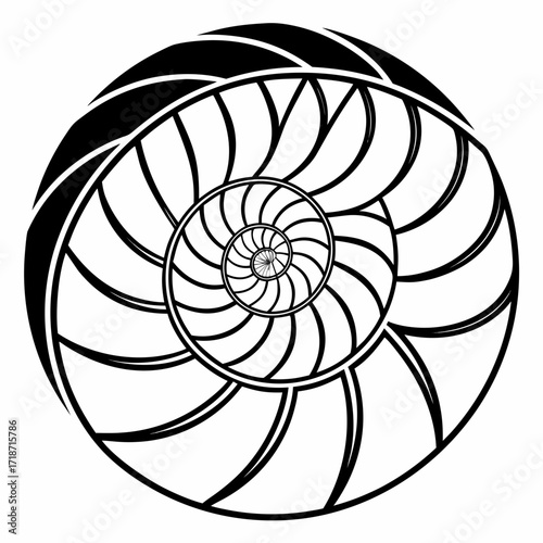 Black and White Nautilus Shell Spiral Pattern geometric