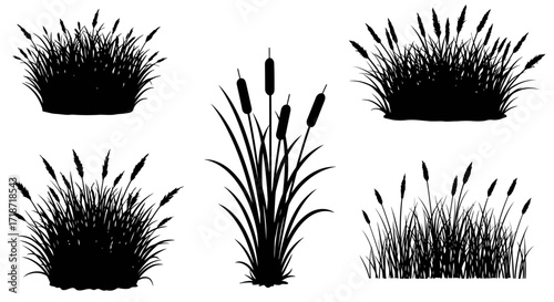 Silhouette illustrations of cattails and reeds in various arrangements, isolated on a white background.