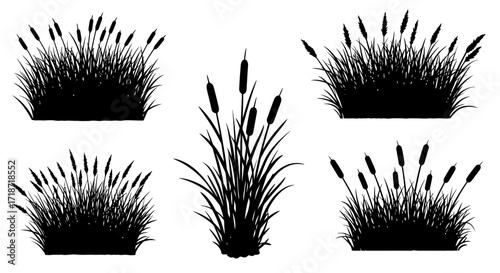 Five silhouette illustrations of cattails and grass clumps, varying in size and arrangement, isolated on a white background.