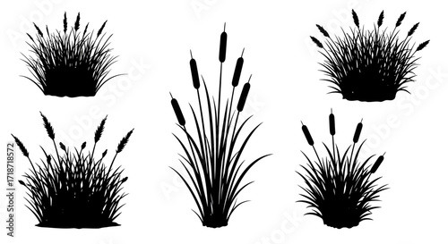 Five black silhouette illustrations of cattails and grass clumps isolated on a white background.