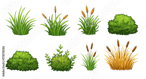 Illustration of various green and brown plants including grass, cattails, and bushes, isolated on a white background.