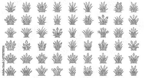 A collection of various grass tuft illustrations in a simple, monochrome line art style, arranged in a grid pattern.