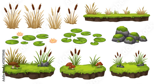Illustration of various pond elements, including cattails, lily pads, grassy patches, mossy rocks, and small mushroom clusters.