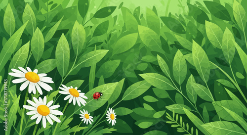 Illustration of daisies and green foliage with a ladybug on a leaf in a bright, natural setting.