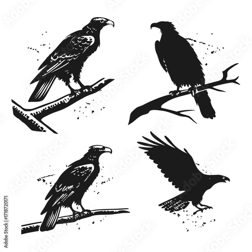 Four Silhouette Eagles Perched on Textured Branches Keywords: eagle, bird, silhouette, perched