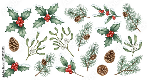 Watercolor Christmas Foliage Set Pine, Holly, Mistletoe, and Berries for Holiday Designs